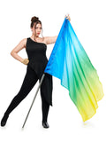 FL33-D1 OMBRE PRINTED FLAG